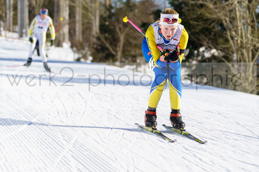 DSC Arber | Bayerischer Wald am 9. bis 12. Februar 2023
