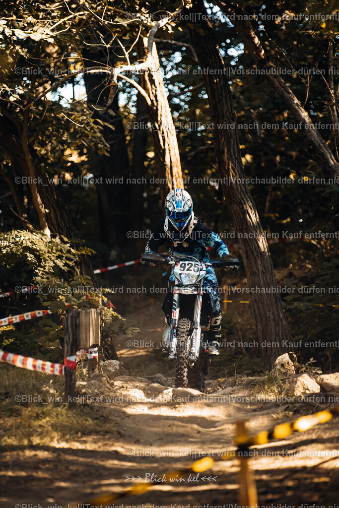 E68A5580 | blick_win_kel