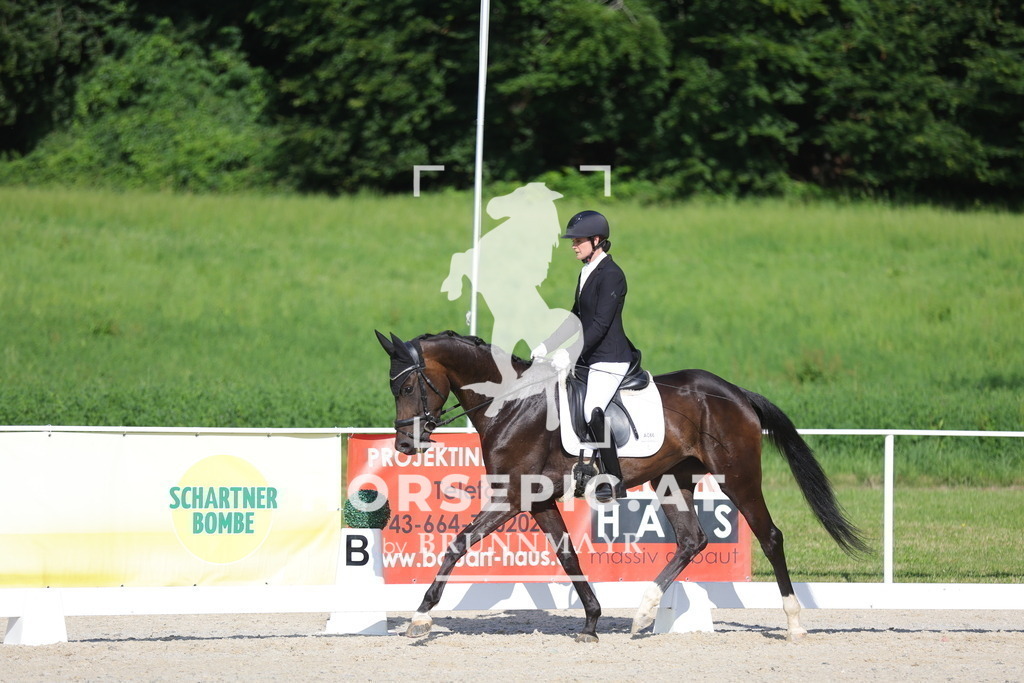 0P6A4548 | Willkommen bei Brunnmayr - Design & Fotografie – Ihrem Spezialisten für Reitturniere und Pferdeveranstaltungen in Oberösterreich, Salzburg und Bayern! Seit über 17 Jahren sind wir leidenschaftlich dabei.
