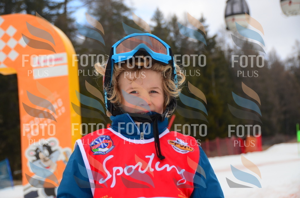 C1341 | holidayphoto