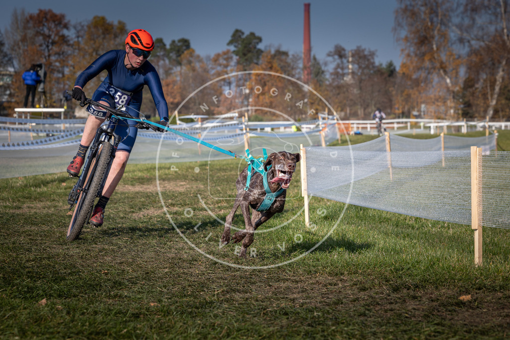 CaniXpix_0L8A7366 | Hundefotografie, Tierfotograf, Pfotenfotografie, Fotoshooting Hund, Hunde Portrait, Hundesport, Hundeportraits, Heideshooting, Hunde, Sportfotograf, Hundefotograf, Turnierhundsport, THS,  - Realisiert mit Pictrs.com