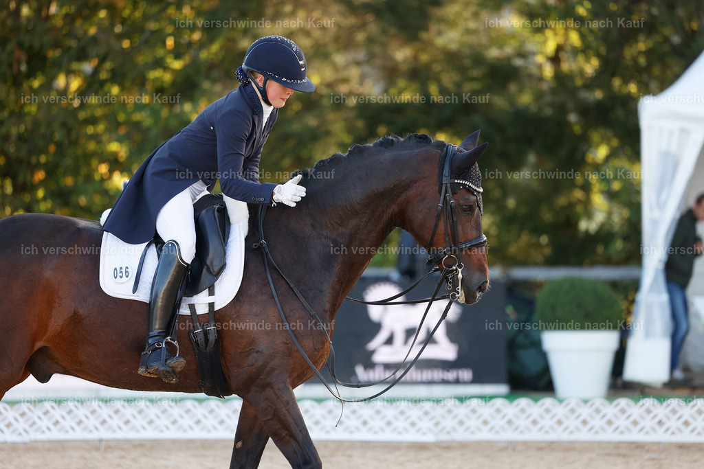 09_1-056-DRESSUR  S_  -StoibPH-5453 | working equitationturnier fotograf videograf stoibphotography marixx film working equitation deutschland reitsport turnierfotografie eventfotografie equestrian events