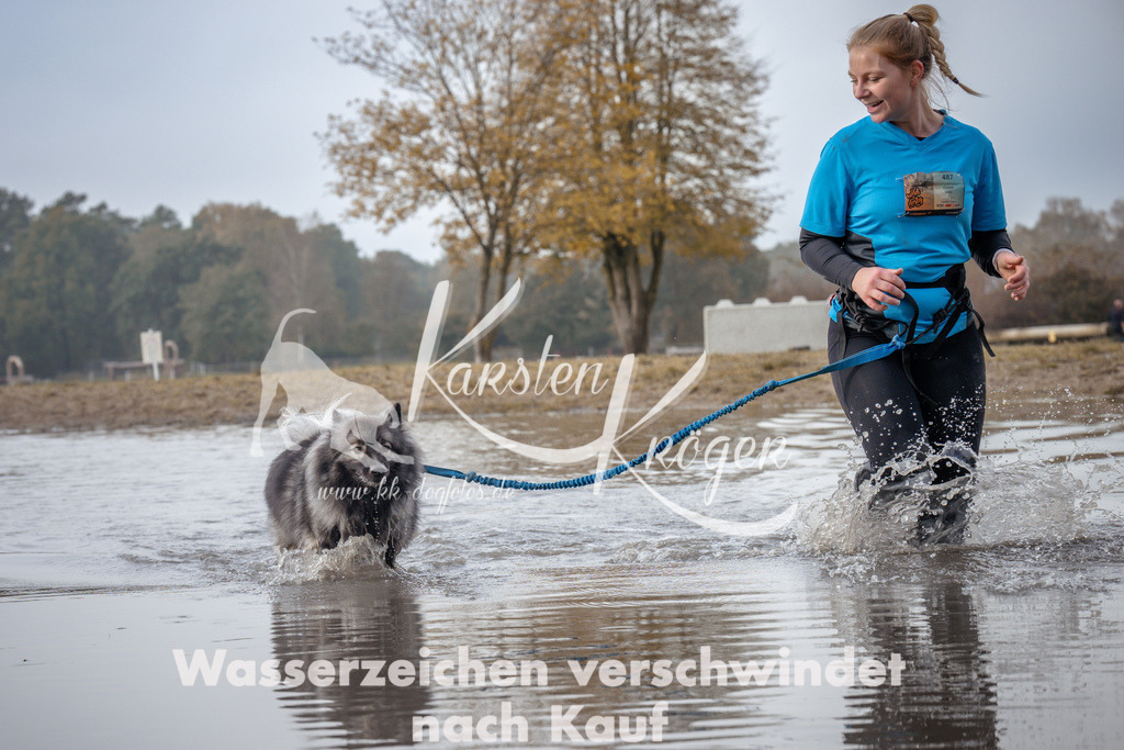 1121_ZZ94134 | kk-dogfotos