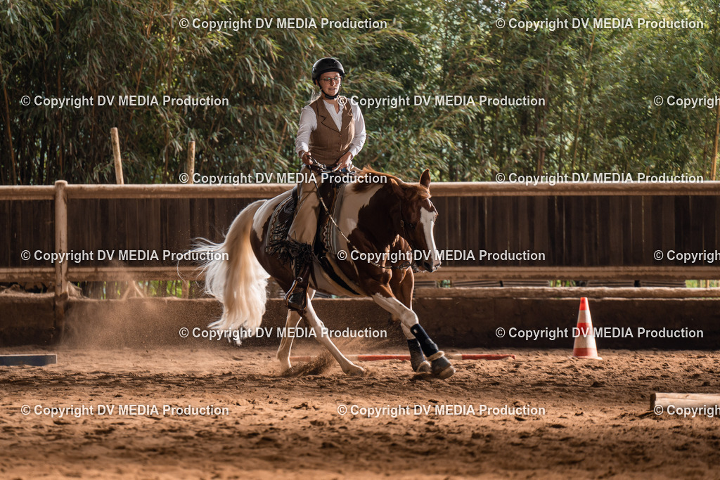 Erbach Tag 2-640 | dv-media-shop - Realisiert mit Pictrs.com