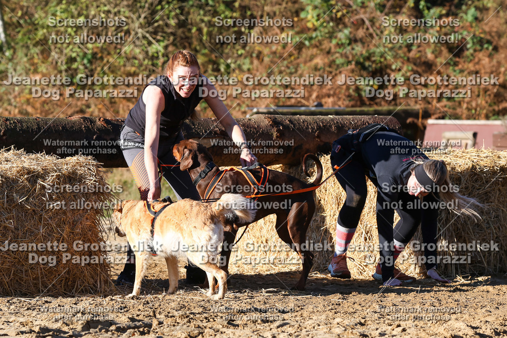 Dog Paparazzi - Strongdog 10-25-1563 | Dog Paparazzi Jeanette Grottendiek Fotografie & Videografie - Realisiert mit Pictrs.com