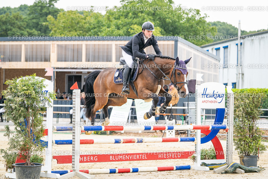 DSC09348 | Pferdegrafie