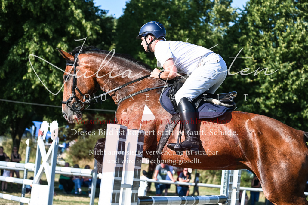 DSC_2720 | Pferde- und Turnierfotografie in Westsachsen. Pferdeportraits, Auftragszeichnungen und intuitive Kunst.