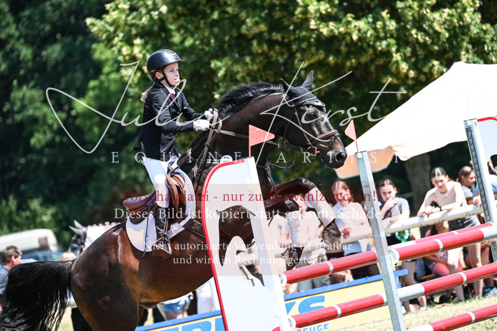 DSC_0348 | Pferde- und Turnierfotografie in Westsachsen. Pferdeportraits, Auftragszeichnungen und intuitive Kunst.