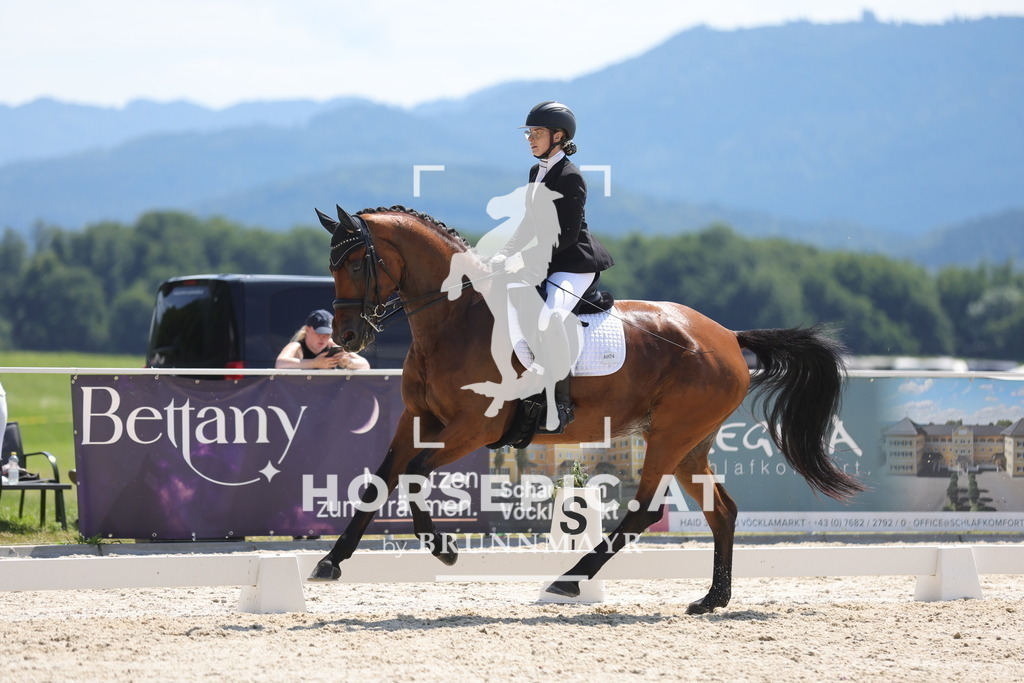 0P6A5482 | Willkommen bei Brunnmayr - Design & Fotografie – Ihrem Spezialisten für Reitturniere und Pferdeveranstaltungen in Oberösterreich, Salzburg und Bayern! Seit über 17 Jahren sind wir leidenschaftlich dabei.