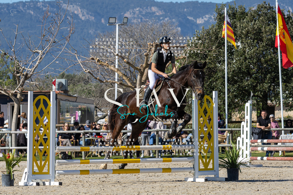 IMG_8956 | s-jay-photography - Realisiert mit Pictrs.com