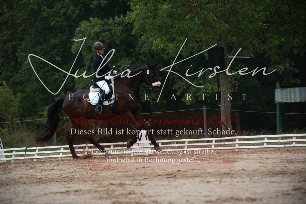 DSC_9717 | Pferde- und Turnierfotografie in Westsachsen. Pferdeportraits, Auftragszeichnungen und intuitive Kunst.