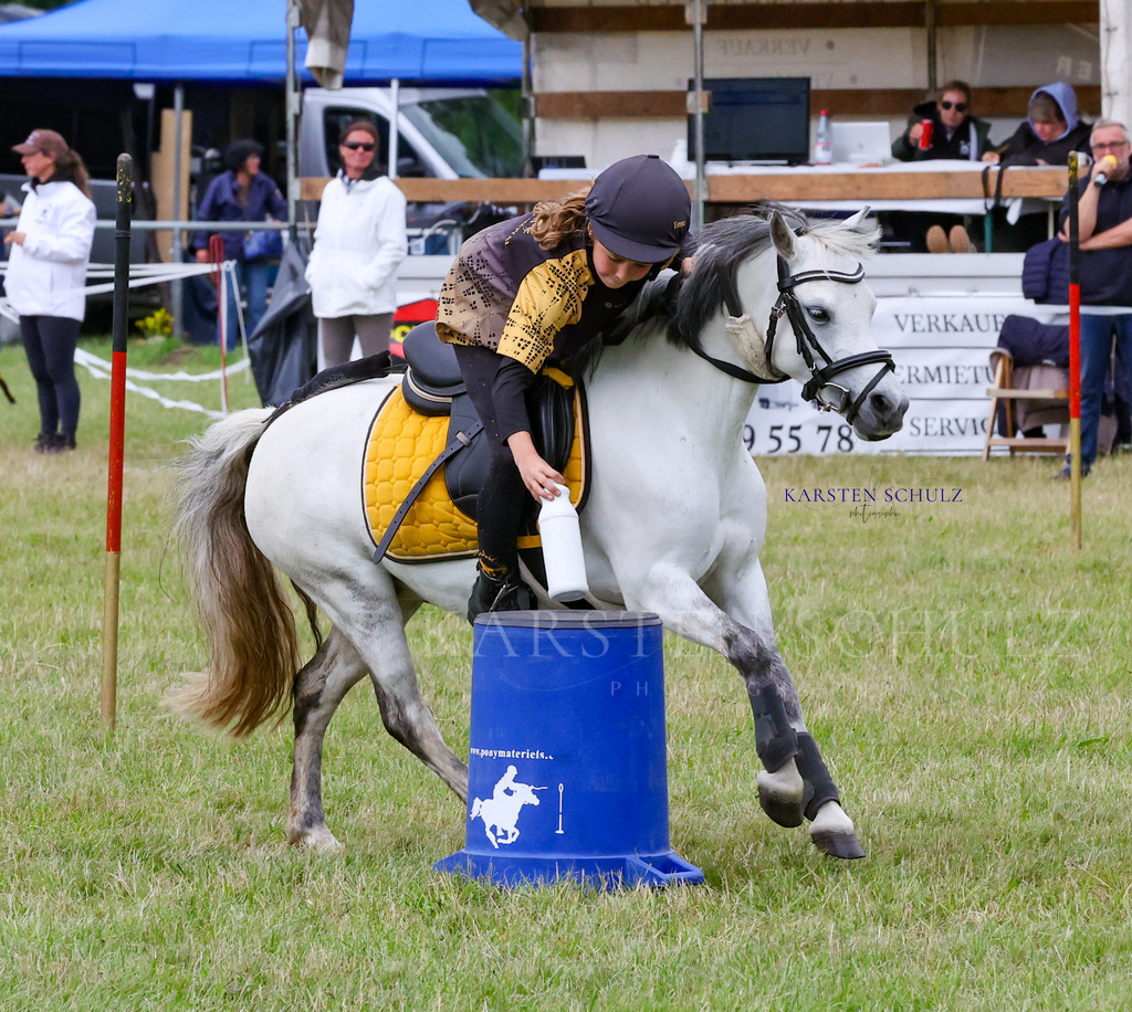 1B3A1414 | Reitsport Reiten