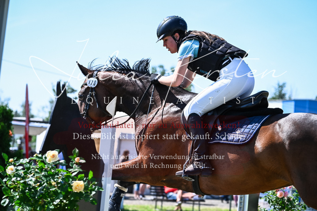DSC_1501 | Pferde- und Turnierfotografie in Westsachsen. Pferdeportraits, Auftragszeichnungen und intuitive Kunst.