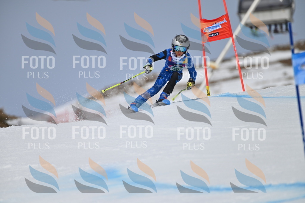 BGV_5188 | holidayphoto