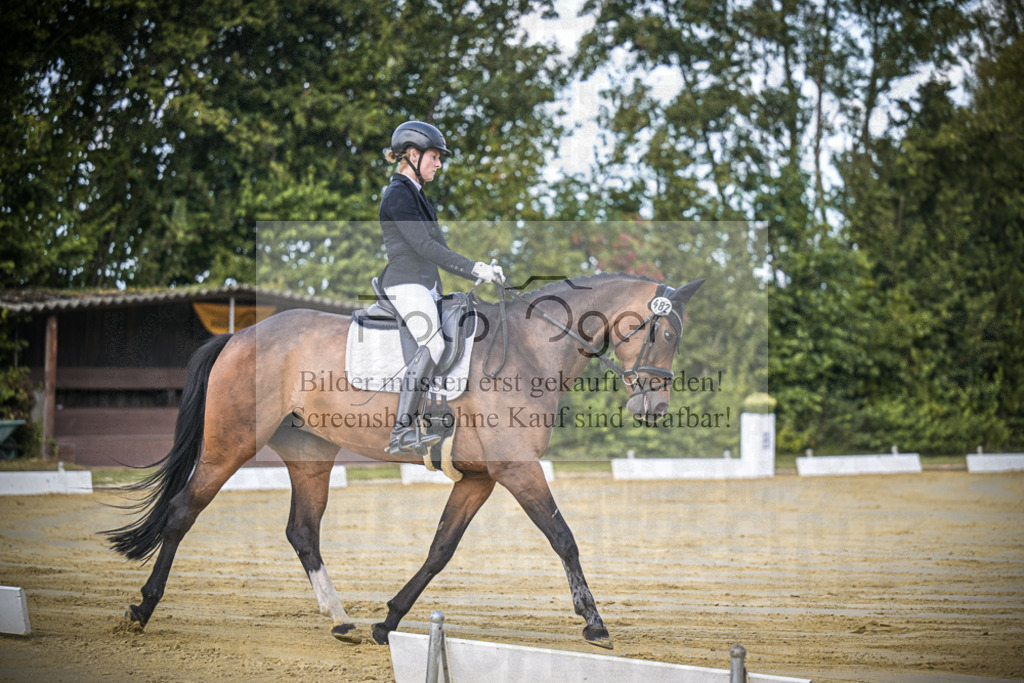 DOS_4565 | Entdecke hochwertige Reitturnierfotos von Foto Oger. Professionell, emotional und authentisch – jetzt Lieblingsmomente im Shop bestellen.Deutschlandweite Turnierfotografie. - Realisiert mit Pictrs.com