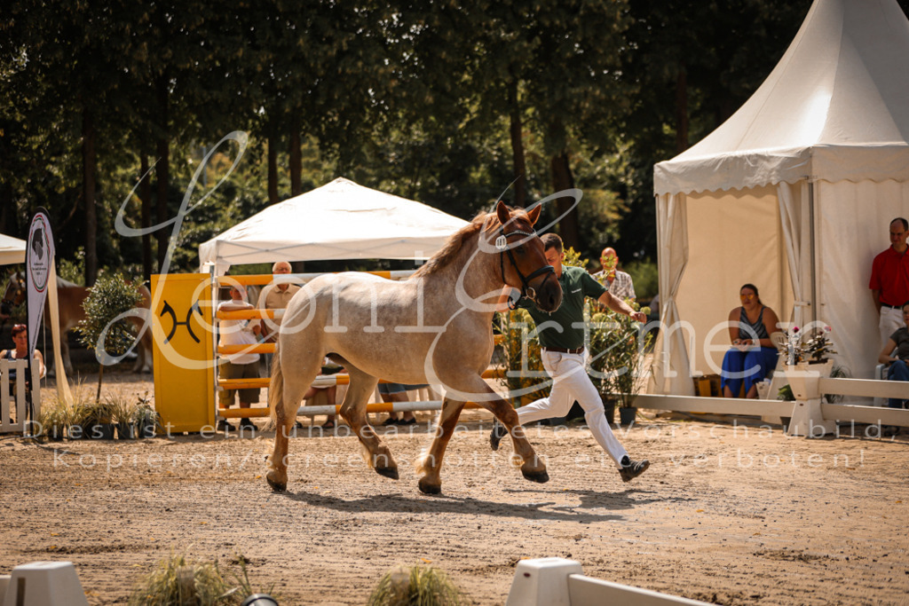 1.Sa00041 | Leoni Ertmer Photography - Realisiert mit Pictrs.com