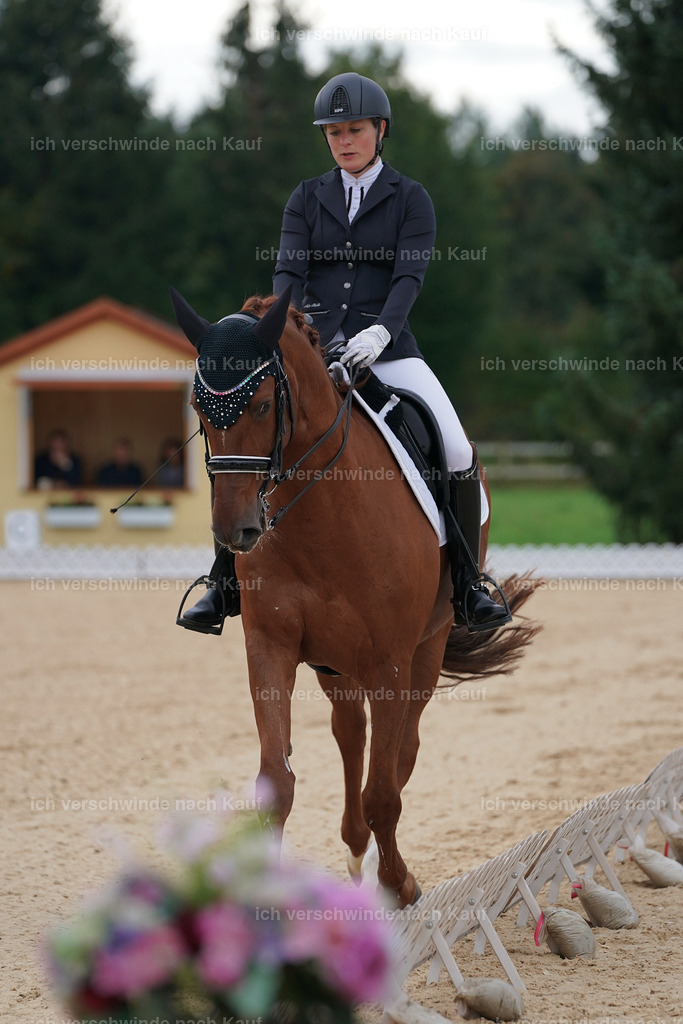 3-049-Dressur M_-Marixx-2222 | working equitationturnier fotograf videograf stoibphotography marixx film working equitation deutschland reitsport turnierfotografie eventfotografie equestrian events