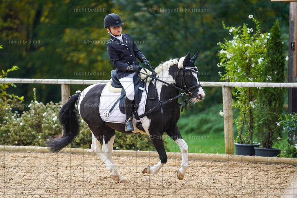 20221008-FAH01378 | Diessen am Ammersee, 2022, Dressur- und Springturnier, Reitsportbilder, Turnierfotografen Bayern, Pferdefotografen, Fotoagentur Herrmann, Turnierbilder