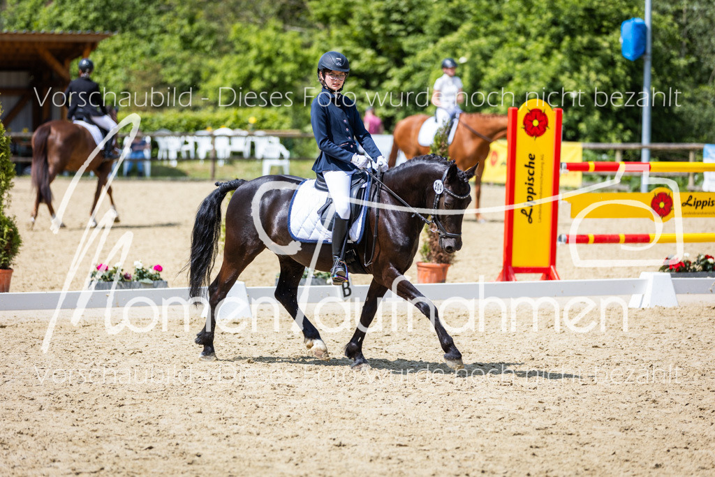 Donop24-EDre-044 | MomenTaufnahmen Pferdesportfotos