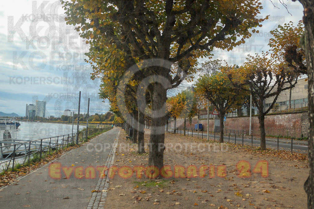 221016_0915_EX2_3578 | Sport- und Eventfotografie