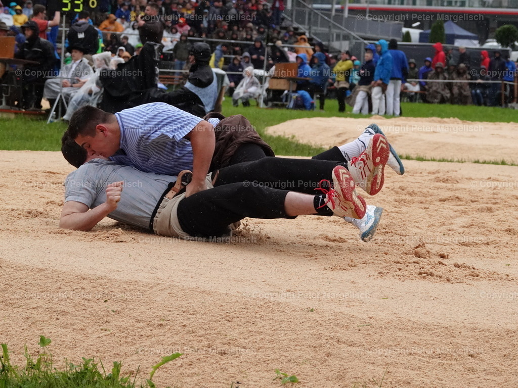 DSC07529 | Schwingen - Realisiert mit Pictrs.com
