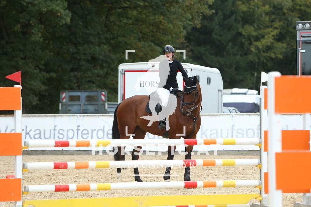 DL2Q7508 | Willkommen bei Brunnmayr - Design & Fotografie – Ihrem Spezialisten für Reitturniere und Pferdeveranstaltungen in Oberösterreich, Salzburg und Bayern! Seit über 17 Jahren sind wir leidenschaftlich dabei.