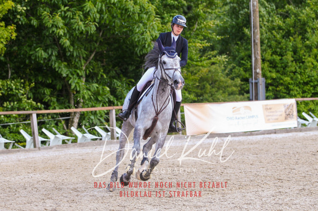 DKP43677 | Turniersportfotografie; Pferdefotografie; Dressurfotografie