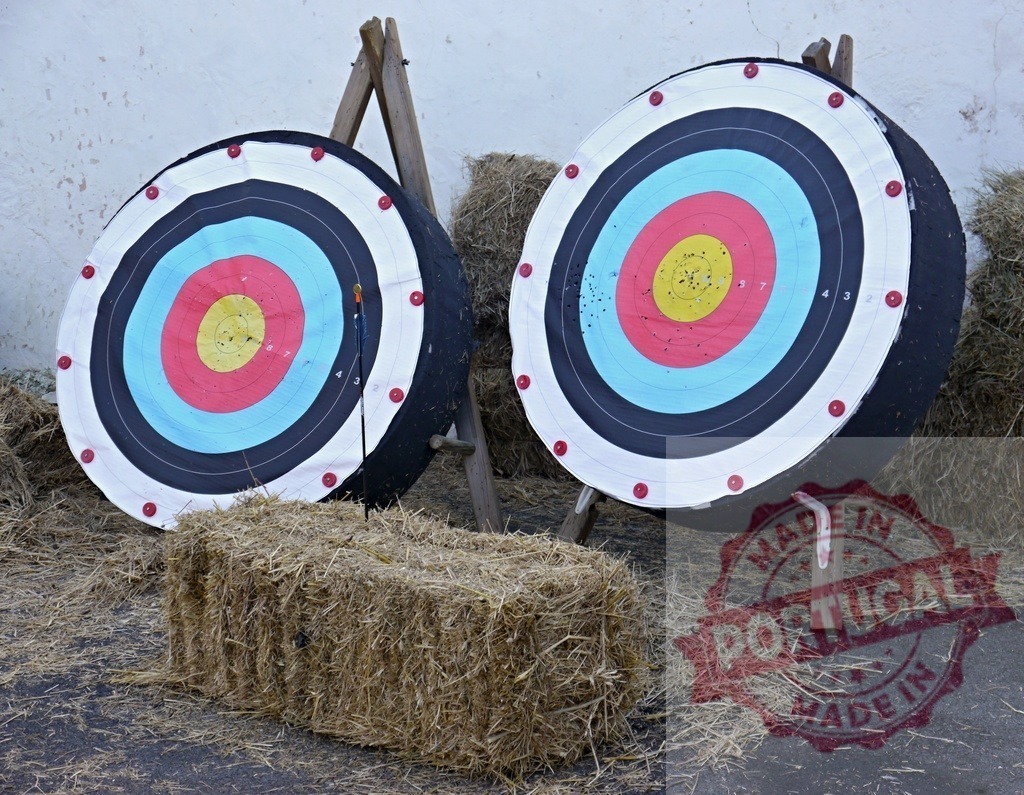 Archery targets showing arrows hitting bullseye and hay bales | Archery targets with an arrow impacting the center, surrounded by straw bales and dry grass - Realized with Pictrs.com