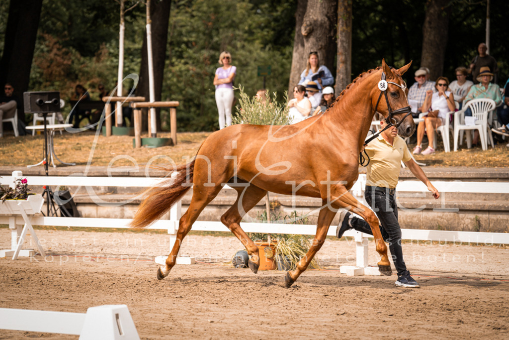 5.Fr00052 | Leoni Ertmer Photography - Realisiert mit Pictrs.com