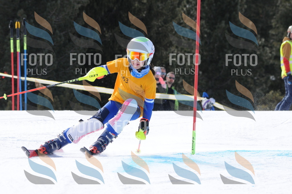 C7352 | holidayphoto