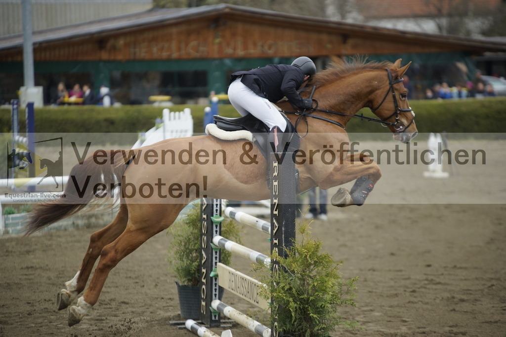_DSC7200 | equestrian-live-com