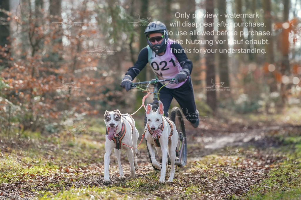 So_Scooter_2-84 | stephaniefillaphotographie - Realisiert mit Pictrs.com