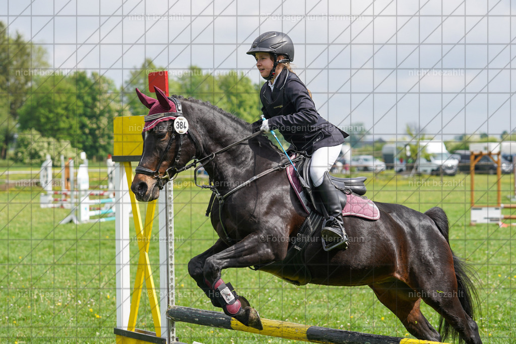 20240509-FAH02251 | Turnierbilder der Turnierfotografen Bayern, Pferdesport Fotografie, Reitsportbilder, Turnier Landberg am Lech, Turnierbilder bayern, Fotoagentur Herrmann