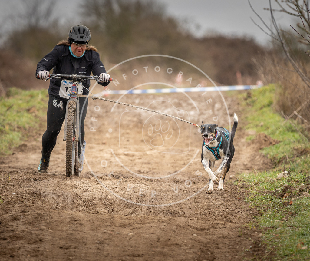 DV3A1377 | Hundefotografie, Tierfotograf, Pfotenfotografie, Fotoshooting Hund, Hunde Portrait, Hundesport, Hundeportraits, Heideshooting, Hunde, Sportfotograf, Hundefotograf, Turnierhundsport, THS,  - Realisiert mit Pictrs.com