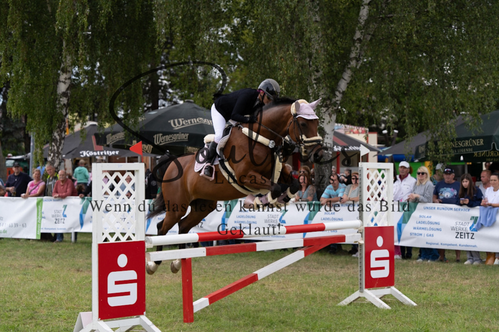 A7V05884 | Pferdefotograf