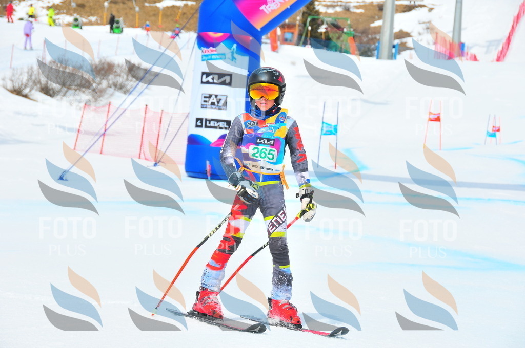 DSC_2482 | holidayphoto