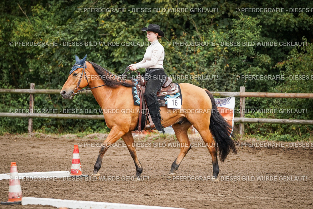 DSC04461 | Pferdegrafie