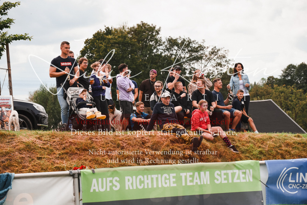 DSC_4092 | Pferde- und Turnierfotografie in Westsachsen. Pferdeportraits, Auftragszeichnungen und intuitive Kunst.