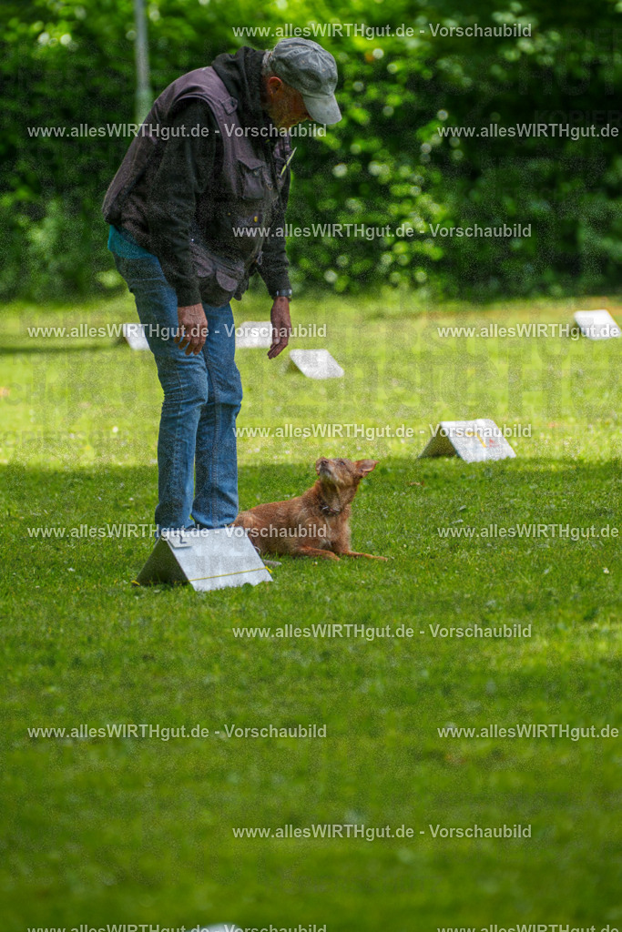@allesWIRTHgut_Tierfotografie - www.allesWIRTHgut.de - 7R504139 | Professionelle Tierfotografie in Mönchengladbach von Daniel Wirth (allesWIRTHgut). Liebevolle & natürliche Bilder von Hunden & Katzen für unvergessliche Erinnerungen.