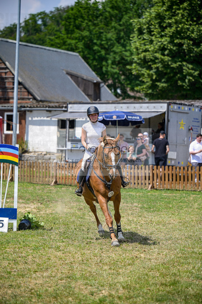 Reitturnier Voxtrup | Entdecke hochwertige Reitturnierfotos von Foto Oger. Professionell, emotional und authentisch – jetzt Lieblingsmomente im Shop bestellen.Deutschlandweite Turnierfotografie. - Realisiert mit Pictrs.com