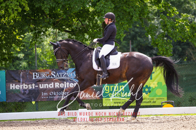 DKP41038 | Turnierfotos kaufen im Webshop von Daniel Kuhl Photography – entdecke professionelle Reitsportfotos aus Turnieren & Events. Hochwertige Turnierbilder online bestellen & sichern. Jetzt Fotos von Reitsportturnieren kaufen!