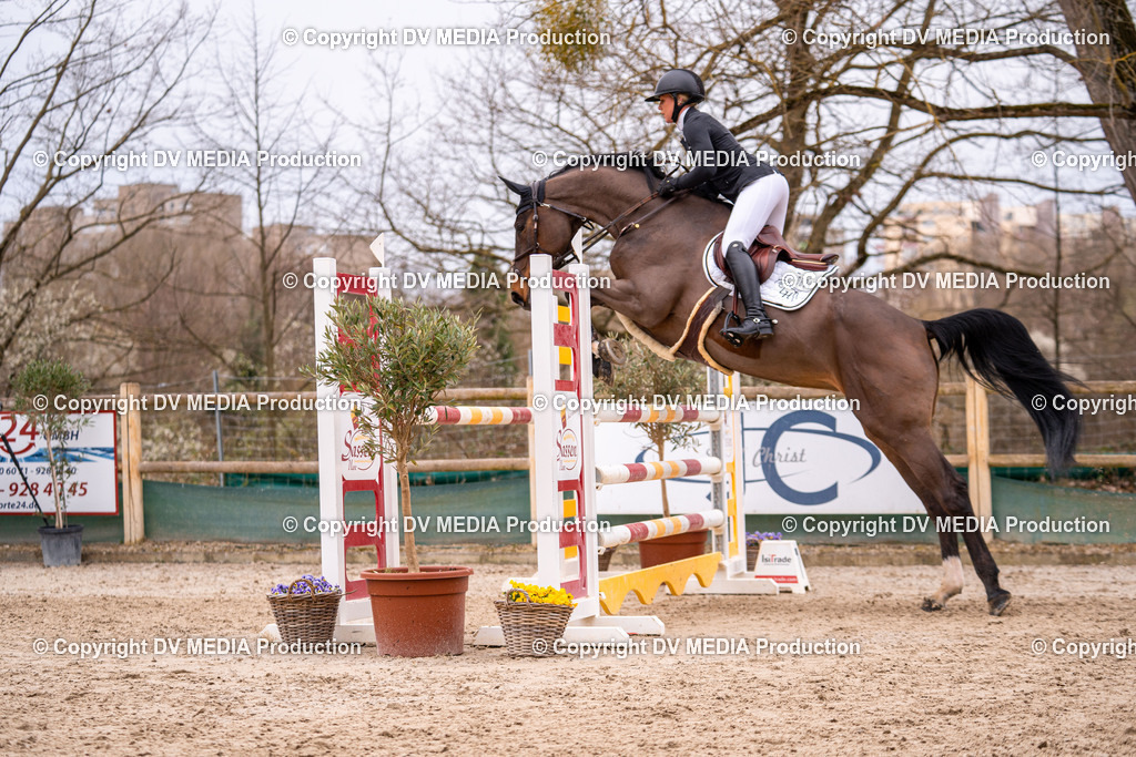 Kranichstein Tag 2-223 | dv-media-shop - Realisiert mit Pictrs.com