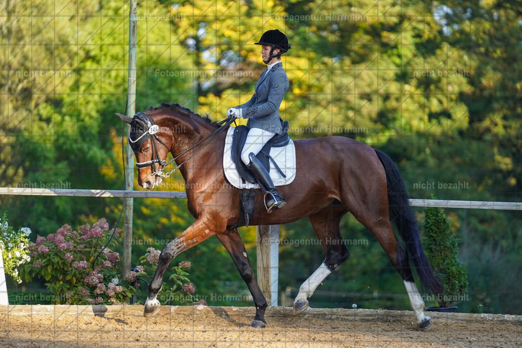 20221007-FAH00377 | Diessen am Ammersee, 2022, Dressur- und Springturnier, Reitsportbilder, Turnierfotografen Bayern, Pferdefotografen, Fotoagentur Herrmann, Turnierbilder