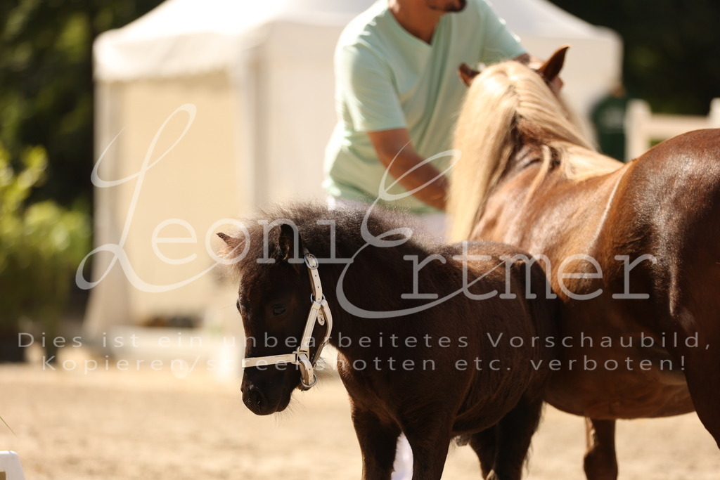 02.So00032 | Leoni Ertmer Photography - Realisiert mit Pictrs.com