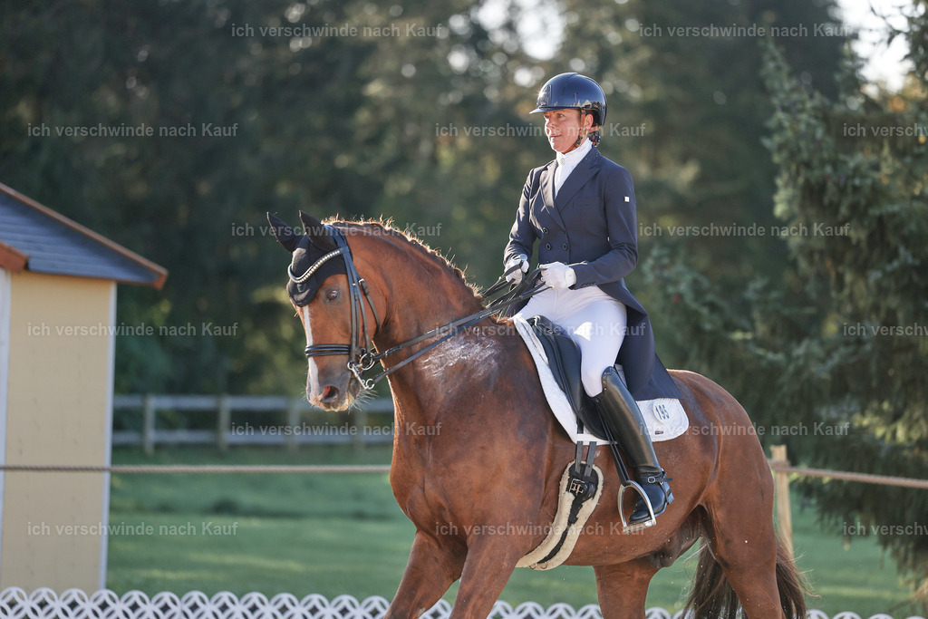 09_1-195-DRESSUR  S_  -StoibPH-5511 | working equitationturnier fotograf videograf stoibphotography marixx film working equitation deutschland reitsport turnierfotografie eventfotografie equestrian events