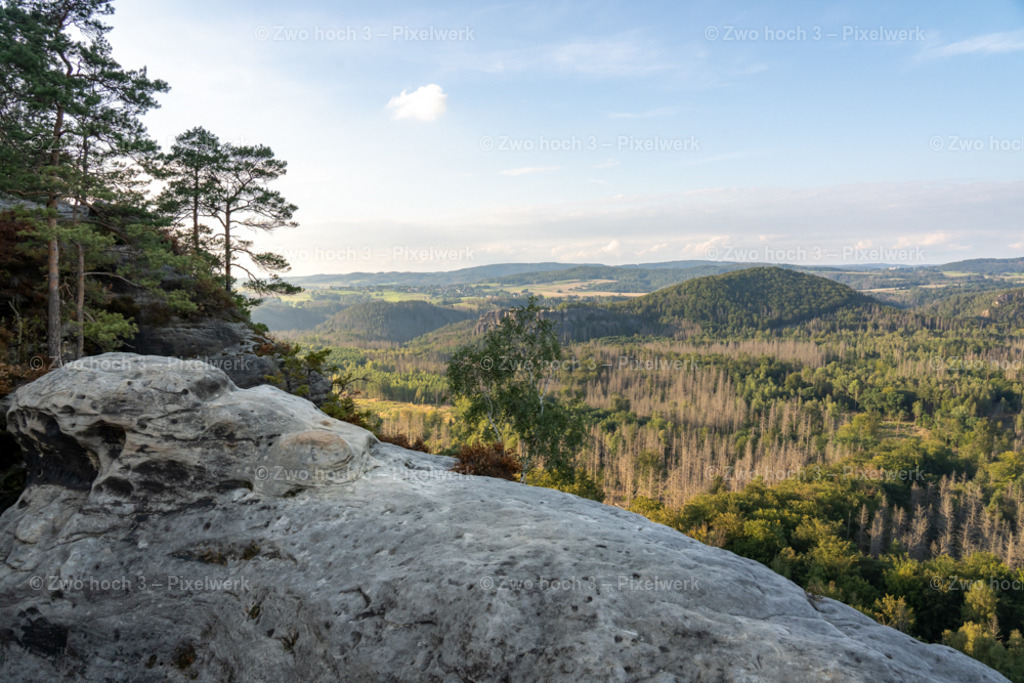 Unterer_Fremdenweg_Nahe_Wappen_Kirnitzschtal_Hausberg | 2022-08-30_Waldbrandgebiete_1 - Realisiert mit Pictrs.com