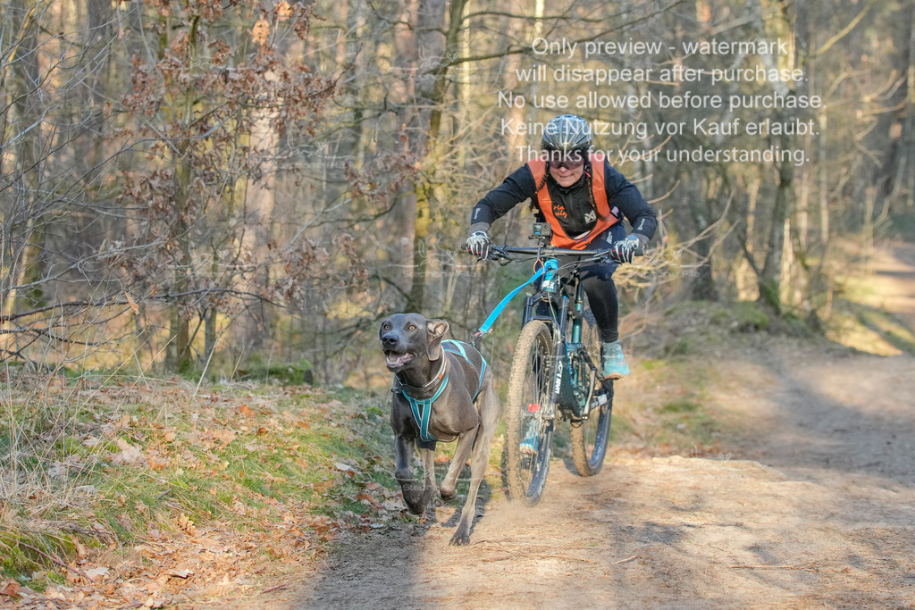 Sa_Bike-432 | stephaniefillaphotographie - Realisiert mit Pictrs.com