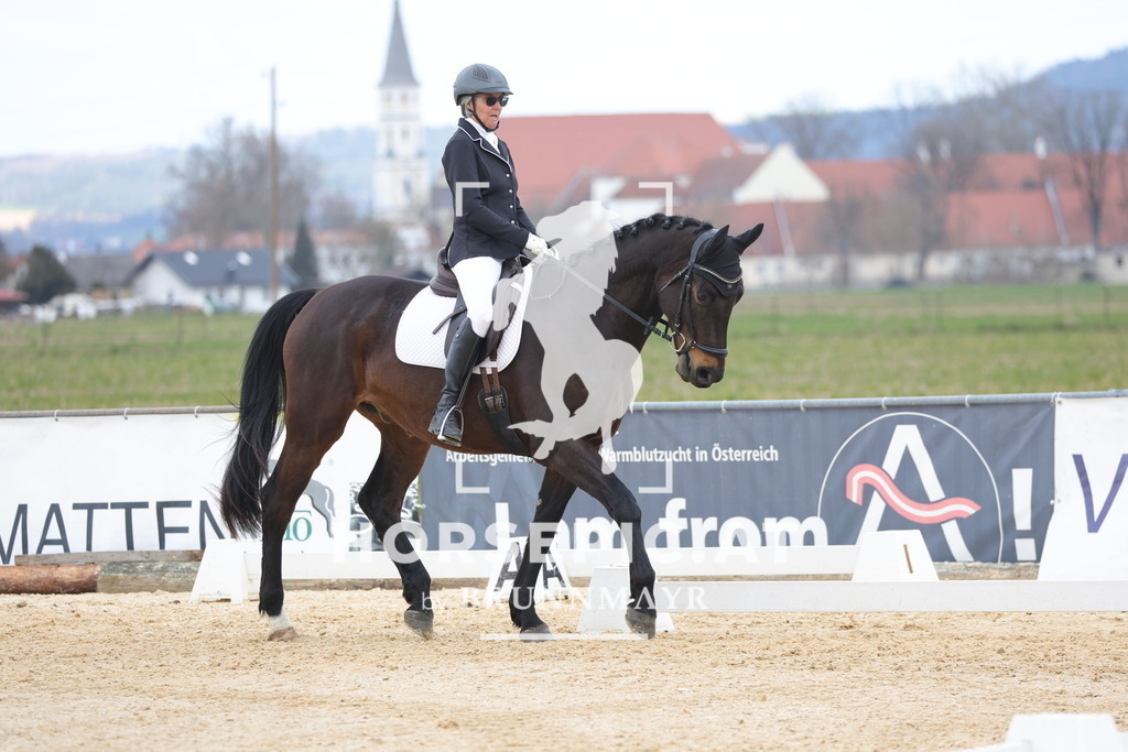 0P6A7223 | Willkommen bei Brunnmayr - Design & Fotografie – Ihrem Spezialisten für Reitturniere und Pferdeveranstaltungen in Oberösterreich, Salzburg und Bayern! Seit über 17 Jahren sind wir leidenschaftlich dabei.