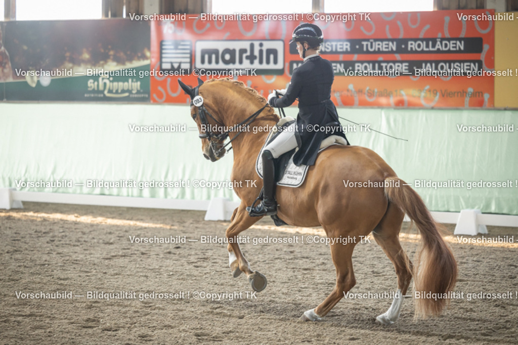 _D5A7938 | Emotionale Pferde- & People-Fotografie rund um Heidelberg, Leimen & Umgebung. Natürliche Fotos von Pferd, Mensch & Familie. Jetzt Termin sichern!