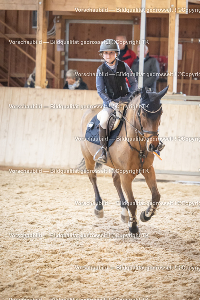 _D5A7963 | Emotionale Pferde- & People-Fotografie rund um Heidelberg, Leimen & Umgebung. Natürliche Fotos von Pferd, Mensch & Familie. Jetzt Termin sichern!